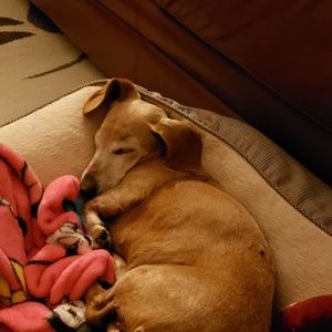 Meet your Posher, Beth